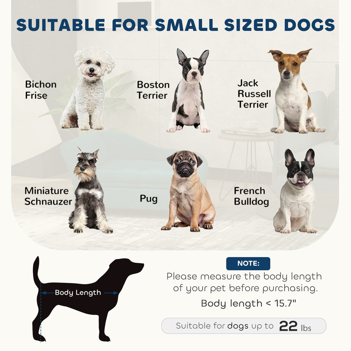 Pet Bed with Hidden Storage Compartment