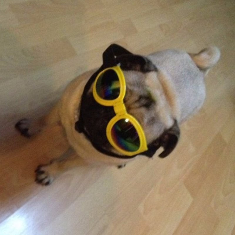 Dog Foldable Waterproof UV Goggles
