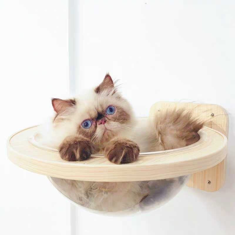 Cat lounging in a solid wood wall-mounted cat climbing platform, showcasing comfort and style.