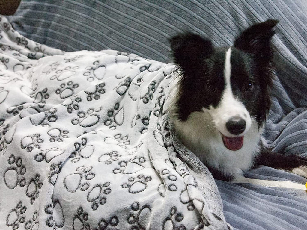 Flannel Paw Print Dog Blanket  Soft & Cozy