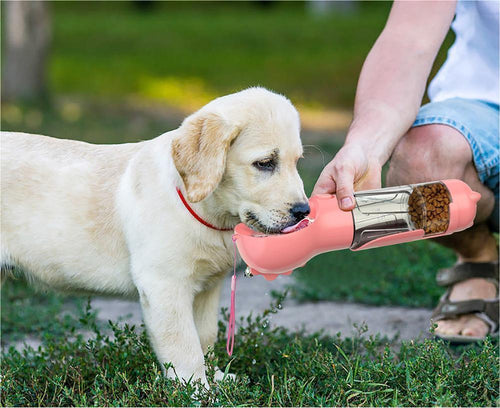 3‑in‑1 Portable Dog Water Bottle & Feeder 