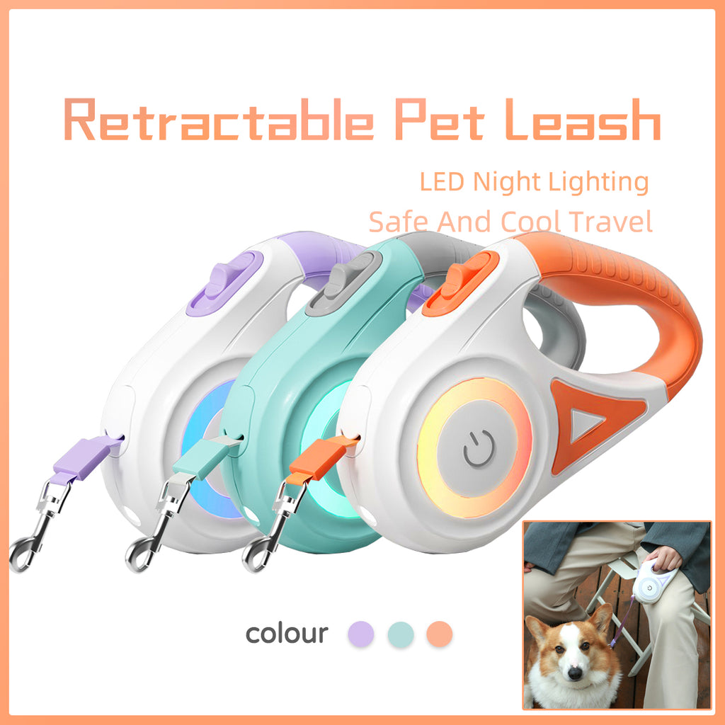 Reflective LED Dog Leash  Night Safety