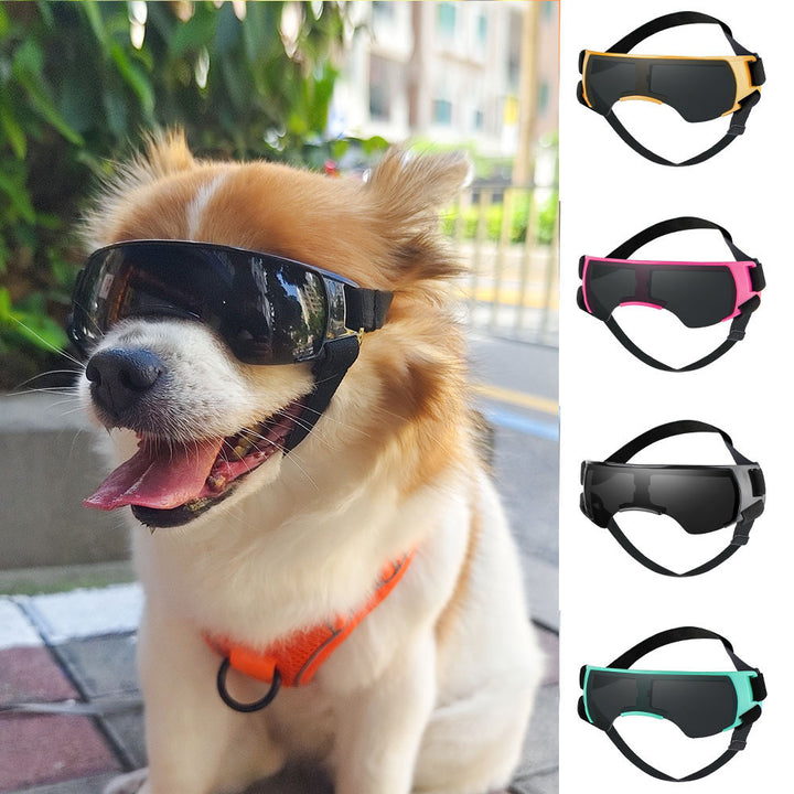 Foldable Dog UV Goggle