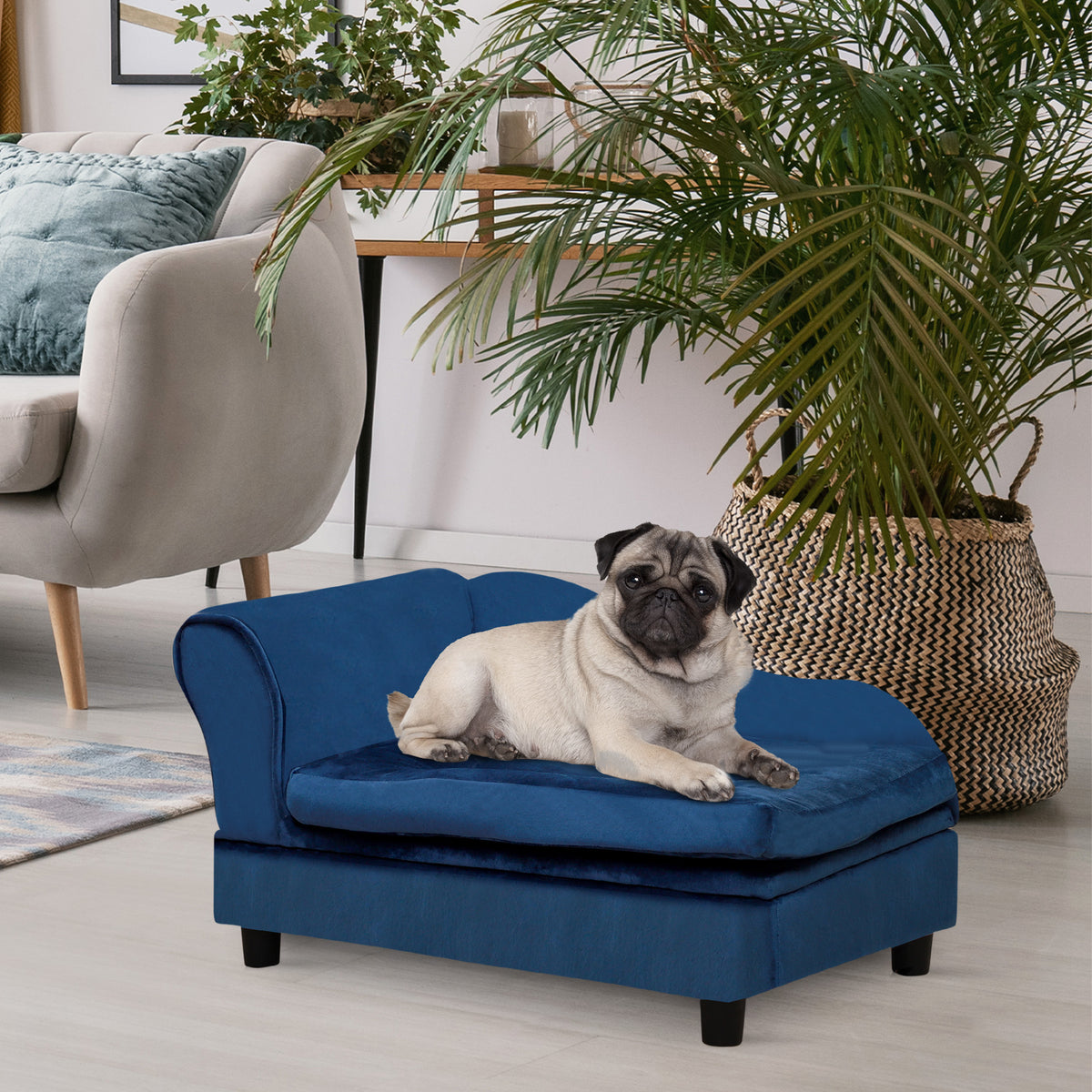 Elevated Pet Couch with Built-In Storage