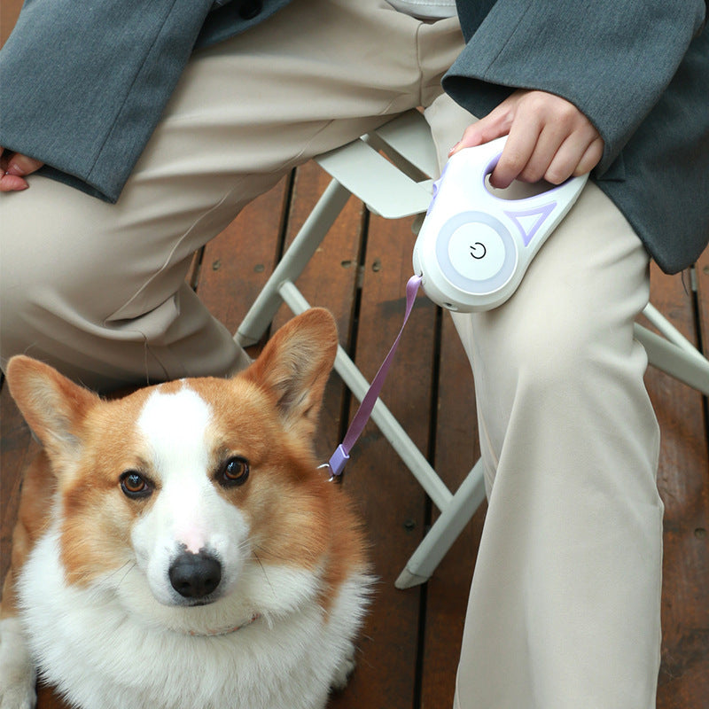 Reflective LED Dog Leash  Night Safety
